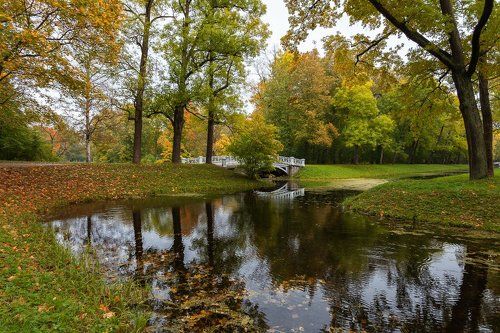 Осенний вечер в Пушкине