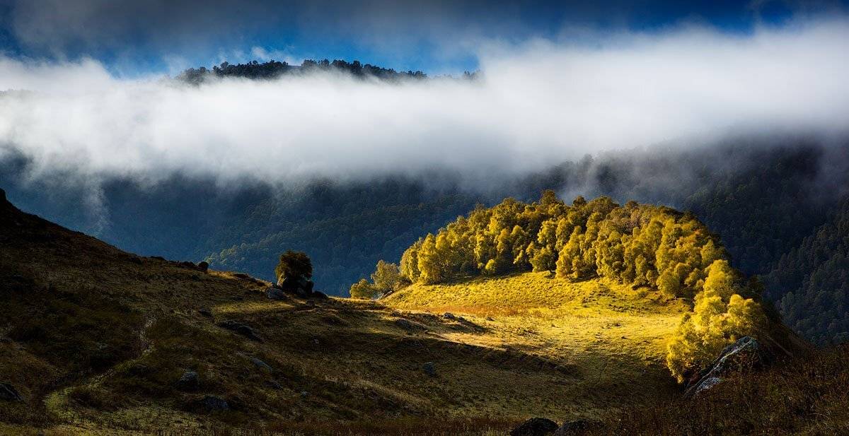 , Владимир Сковородников