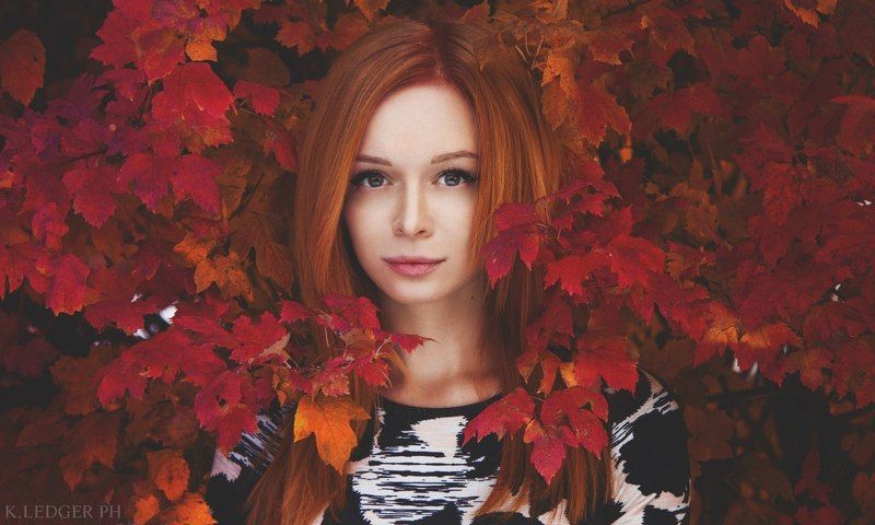 autumn фото превью