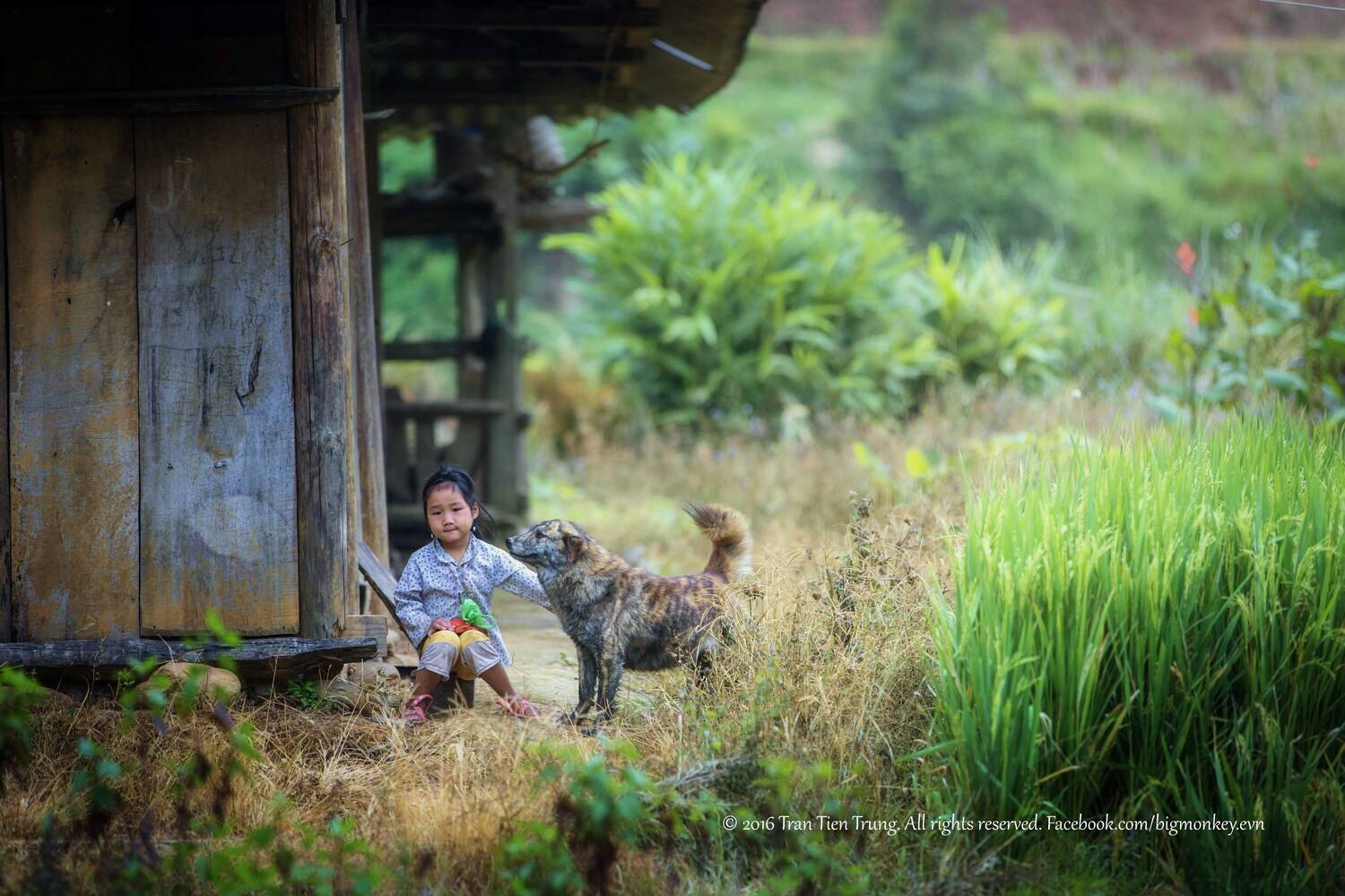 baby, Trần Tiến Trung