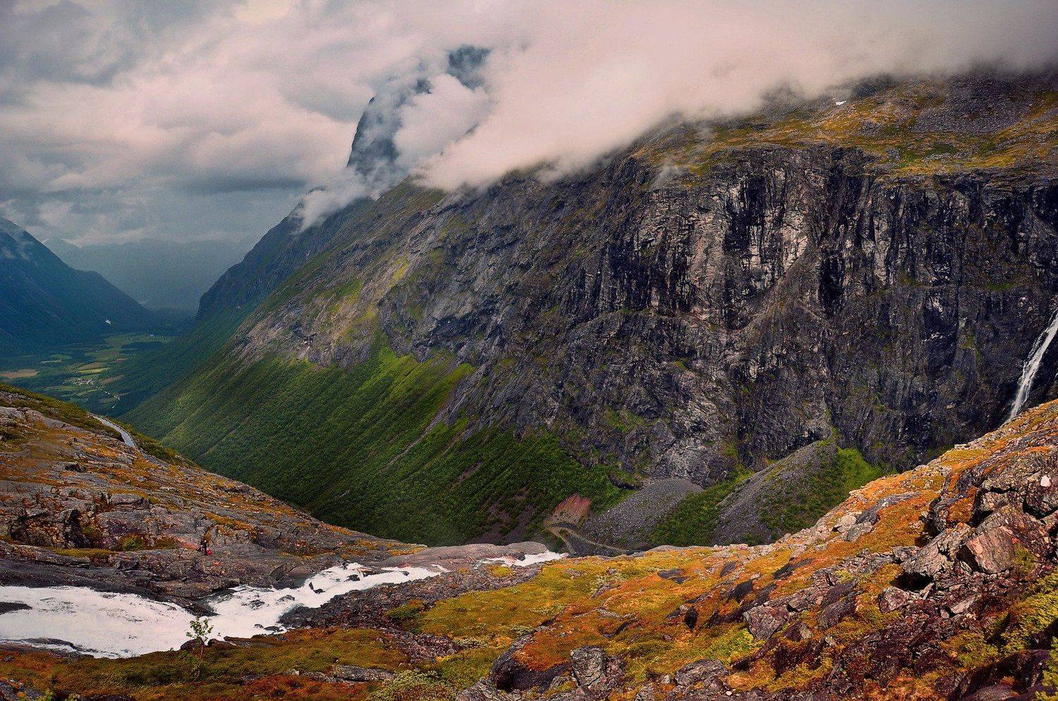 , Лариса Запатрина