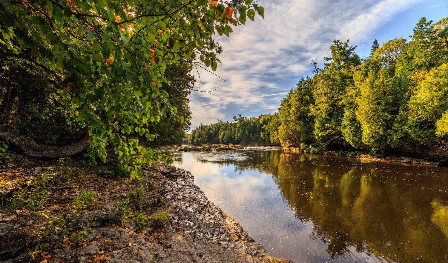 , Леонид Дьяченко