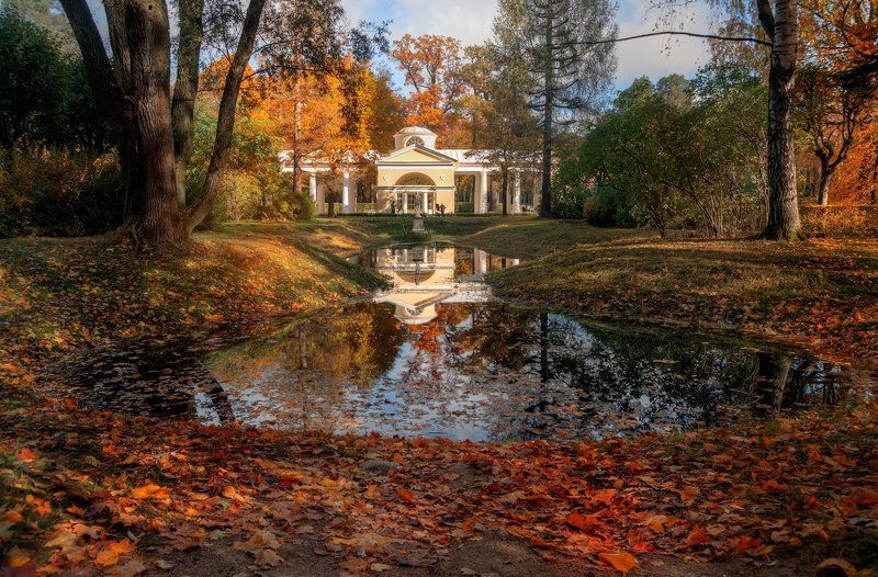золотая осень в Павловске фото превью