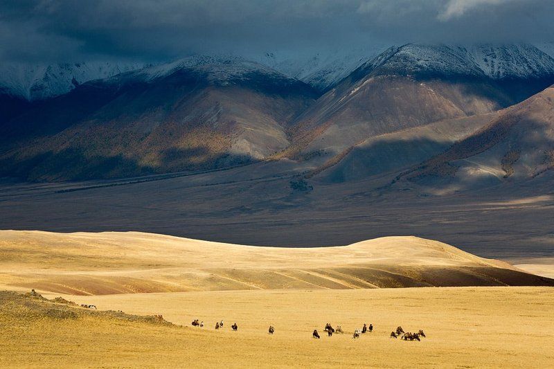 Вечерний свет. фото превью