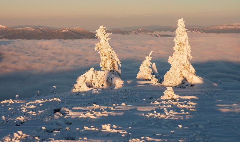 Вместе будем до весны.... фото превью