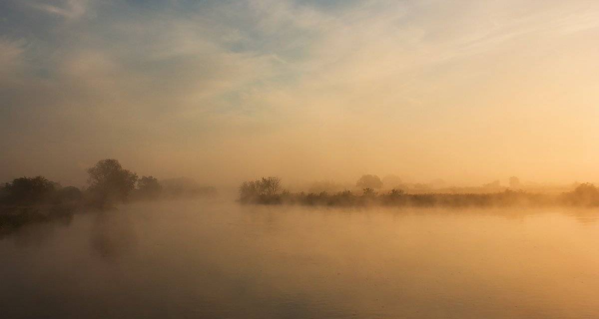 , Pawel Plucinski