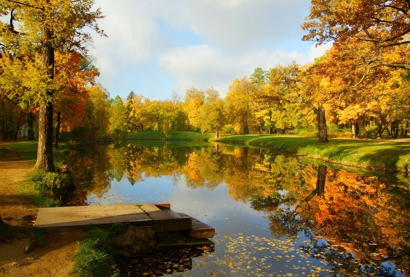 Autumn фото превью
