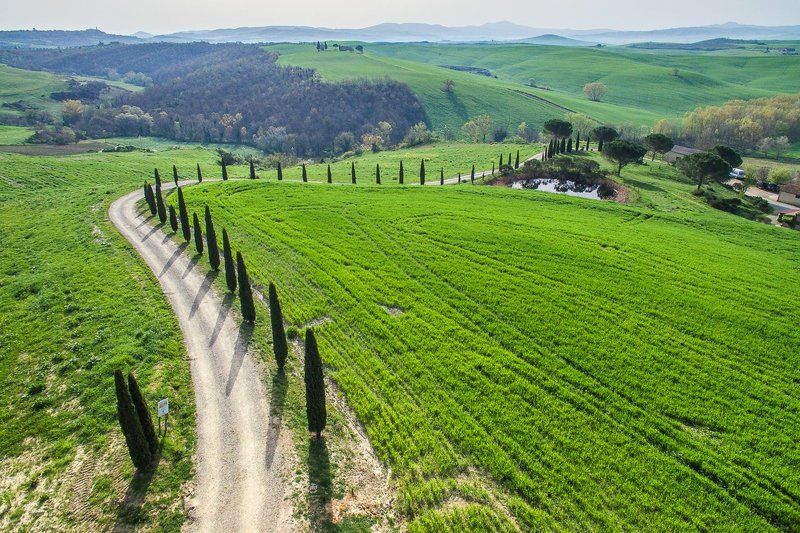 тоскана, италия, квадрокоптер, дрон, весна, tuscany, toscana, italy, quadcopter, drone Солнечное весеннее утро в Тоскане фото превью