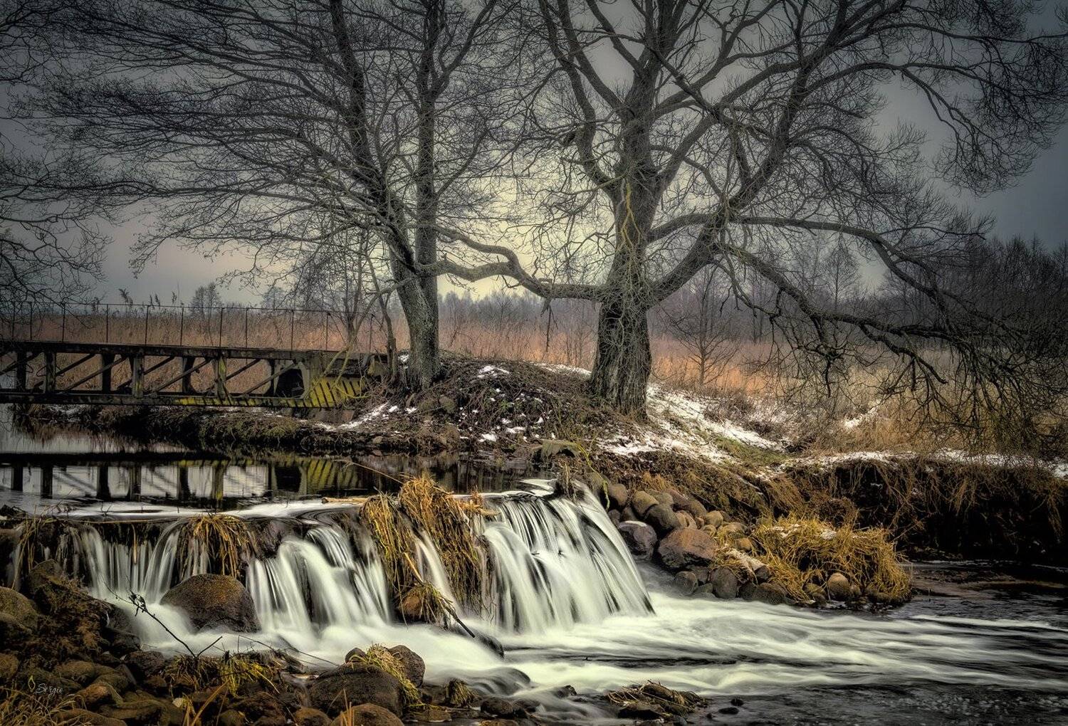 Беларусь, Серж Домбровский