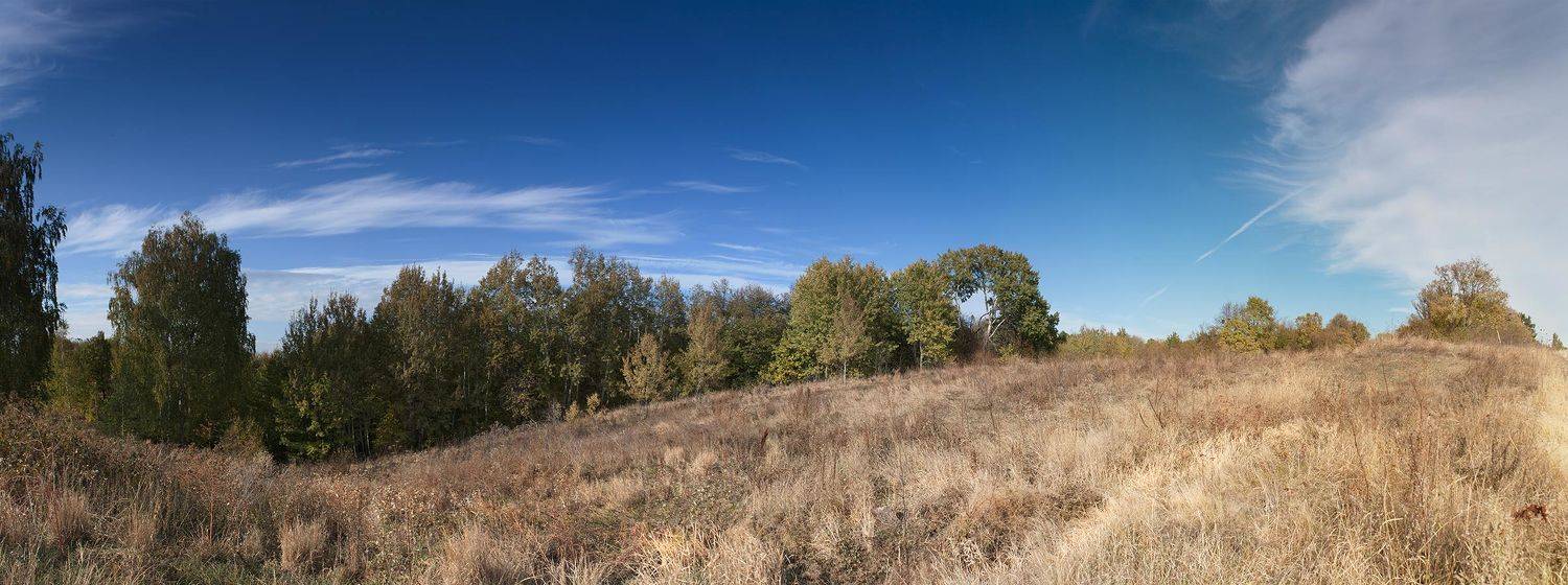 , Володимир Коцюбенко