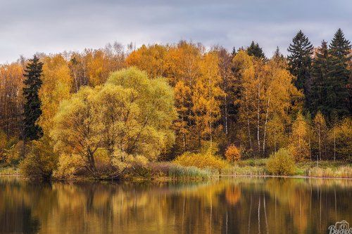 Долгие пруды