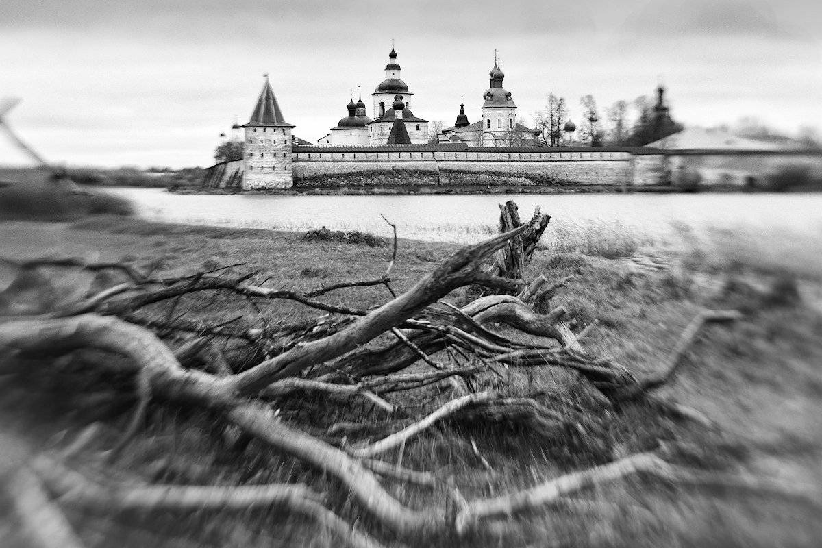 , Марина Никифорова