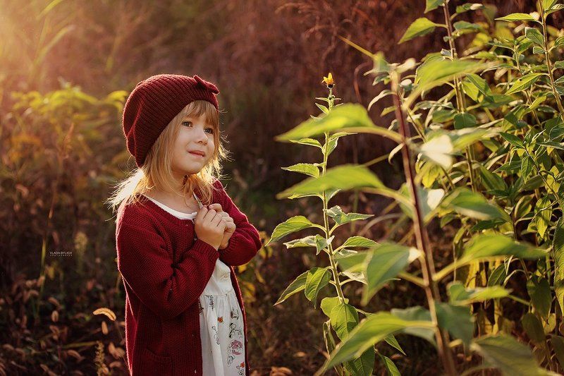 семейный фотограф, фотограф в Краснодаре, семейный фотограф в Краснодаре, детский фотограф, фотограф ростов, влада былич, фотограф влада былич Ариадна фото превью