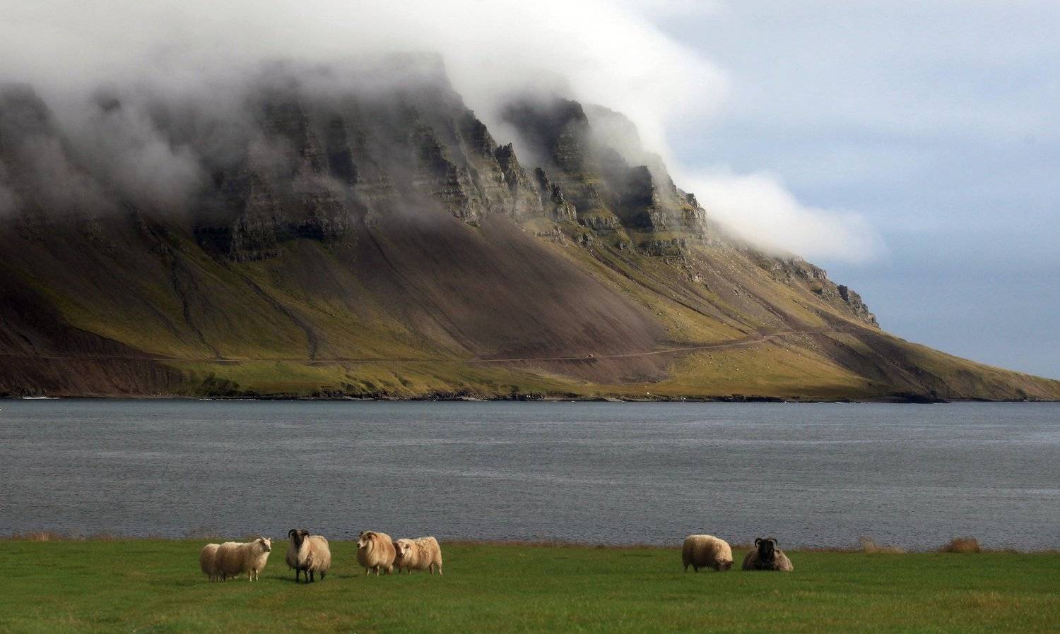 , Андрей Перешеин