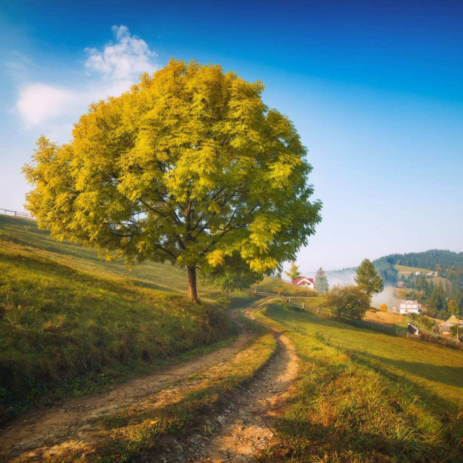 , Виталий Башкатов