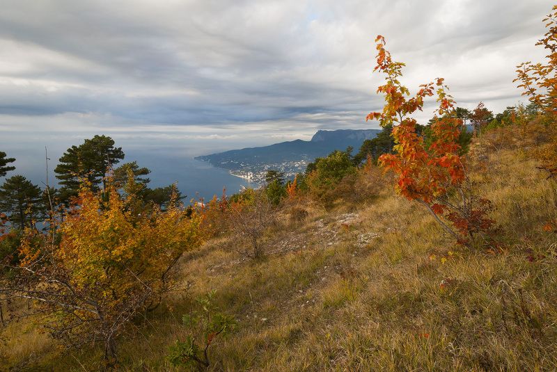 Пасмурным утром октября... фото превью