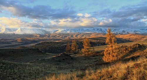 Встречая утро стройными рядами.