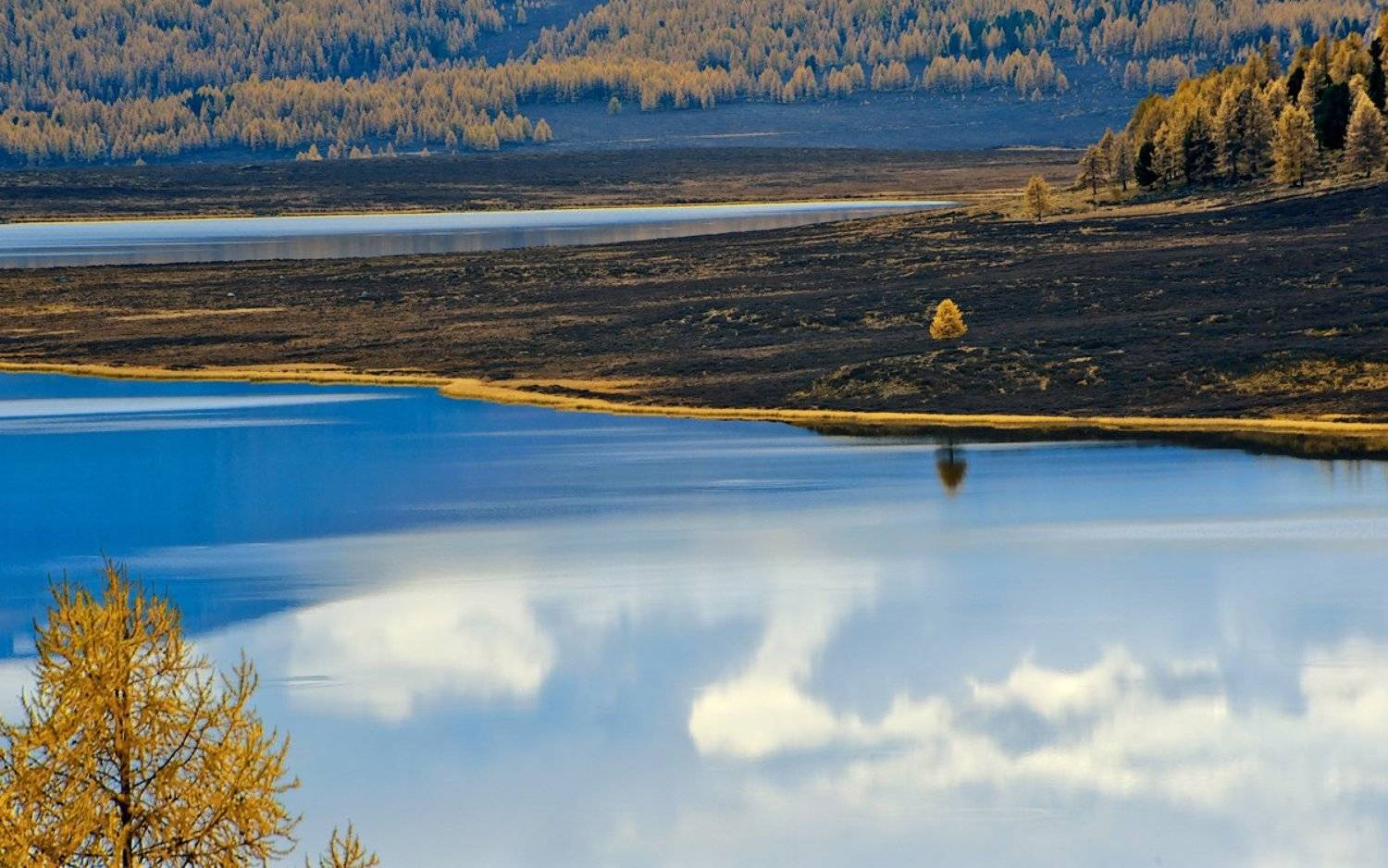 горный алтай, лиственницы, озеро узункёль, осень, отражения, Валерий Пешков