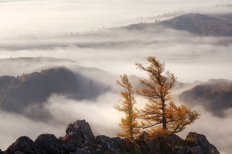 Удел Непокорённых - на Вершинах! фото превью
