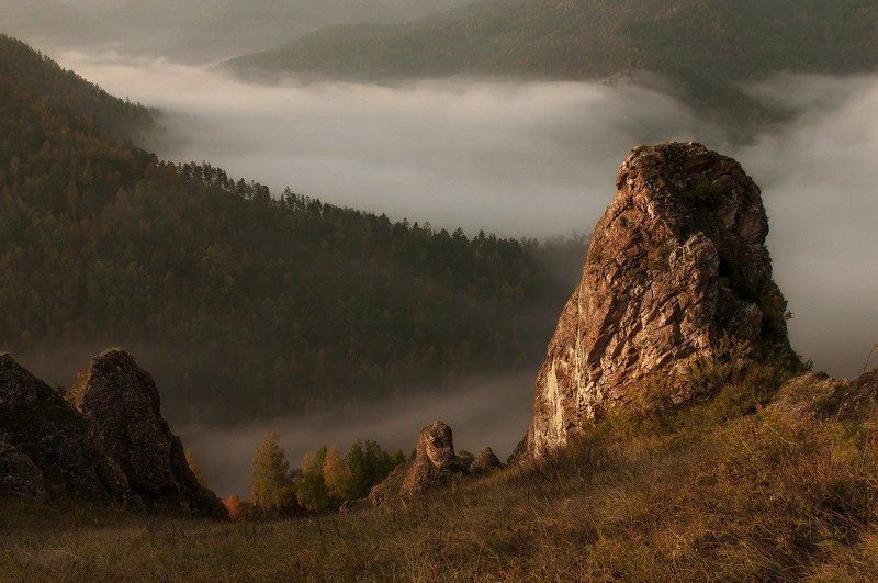 Таежные туманы. фото превью