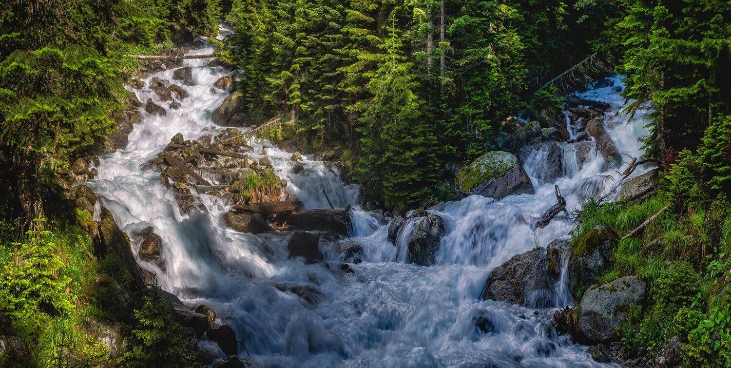 , Игорь Мелекесцев