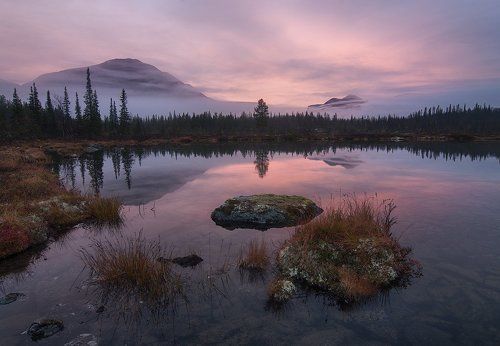Рассветная нежность