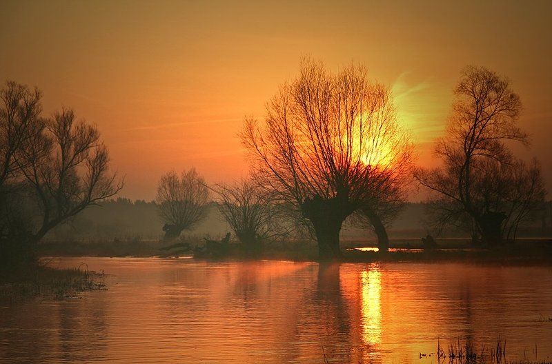 ... фото превью