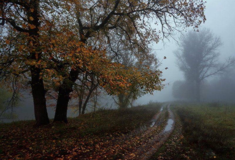 Ходит осень по дорожке. фото превью