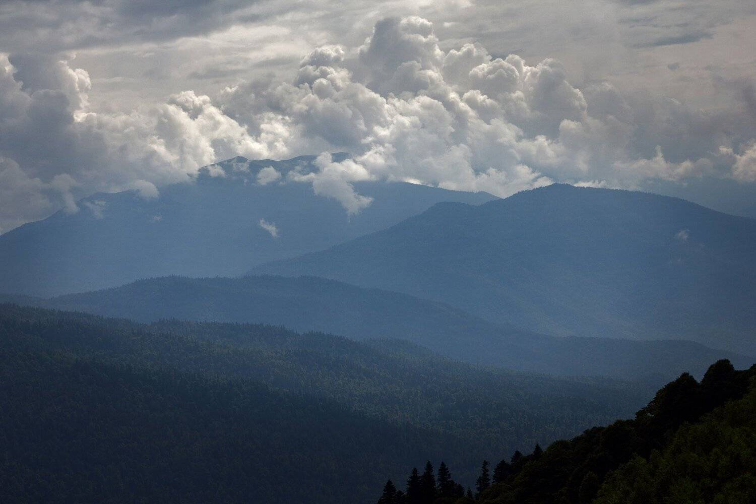 , Алексей Рыльский