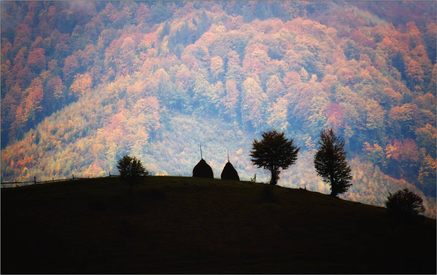 , Рудченко Анатолий