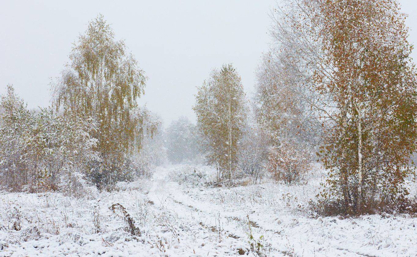 , Сергей Романчук