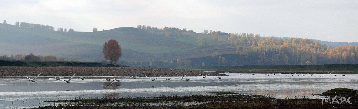 , Шангареев Марс