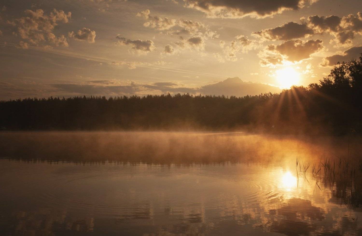 , Веряскин Сергей