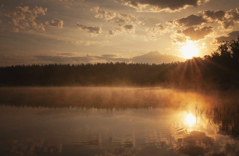 *** фото превью