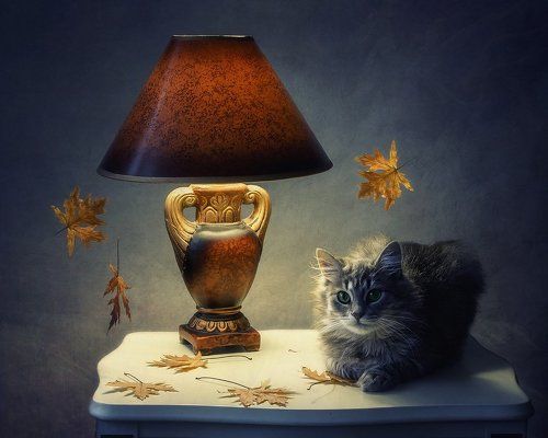 Осенний вечер