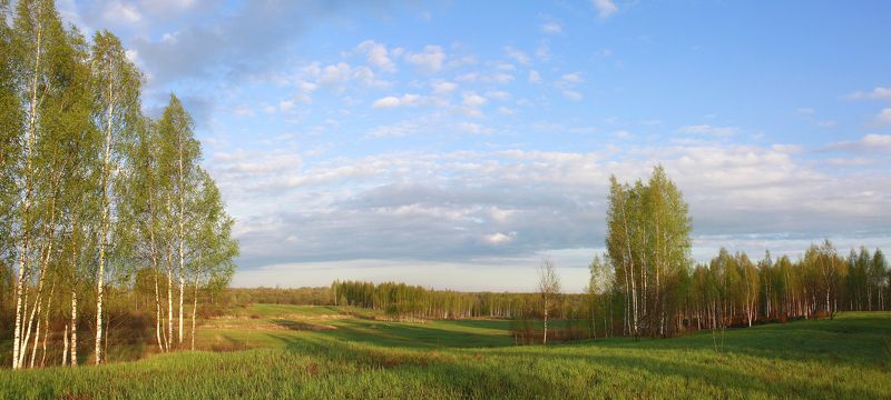 весна Русский пейзаж ) фото превью