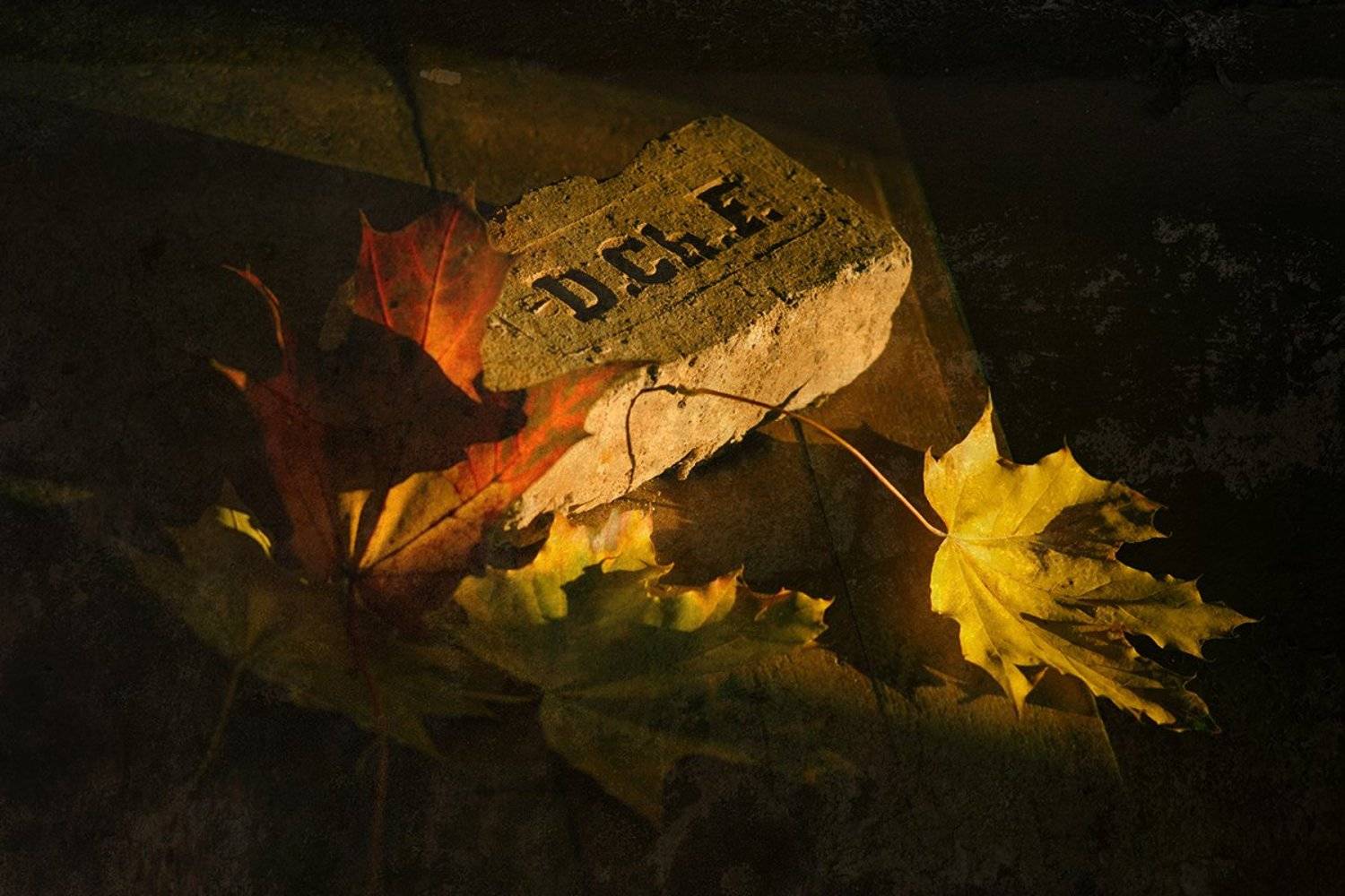 , Анна Кудрявцева