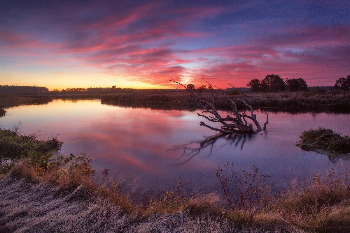 Беларусь, Неман, Октябрь, Осень, Рассвет, Утро, Вейзе Максим
