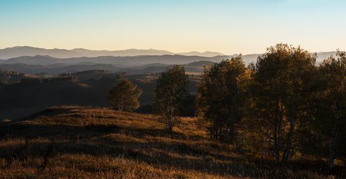 Вечерний Чарыш