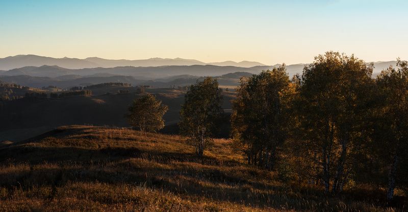 алтай, чарыш, алтайскийкрай, сибирь,altay, altai, Вечерний Чарыш фото превью