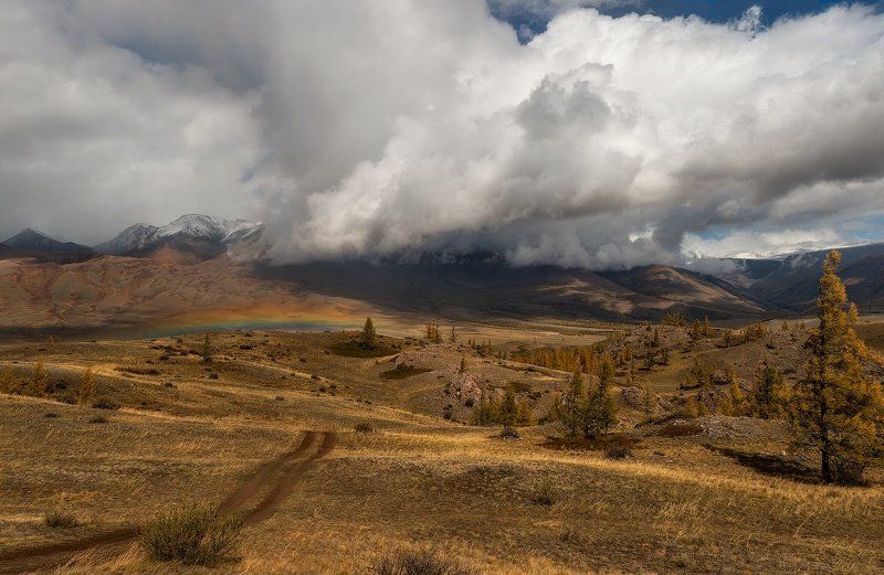 На просторах Курая фото превью