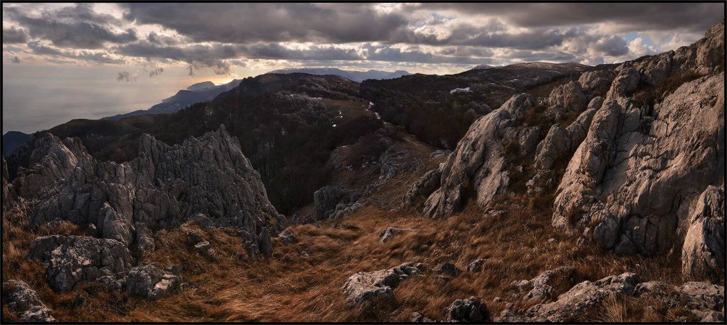 , Владимир Метцгер