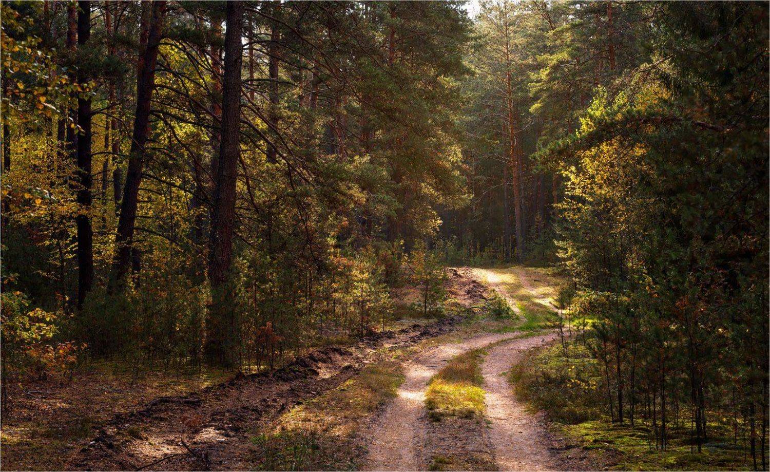 , Михаил Кушнер