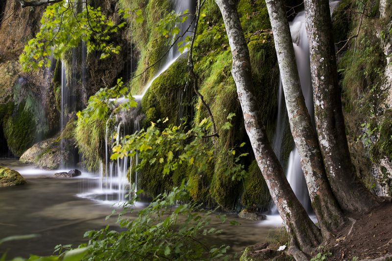 Waterworld X фото превью