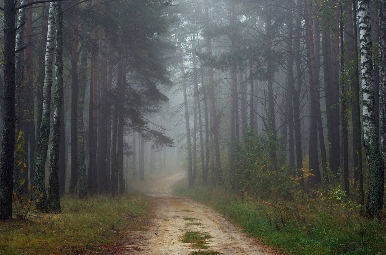 , Сергей Шляга