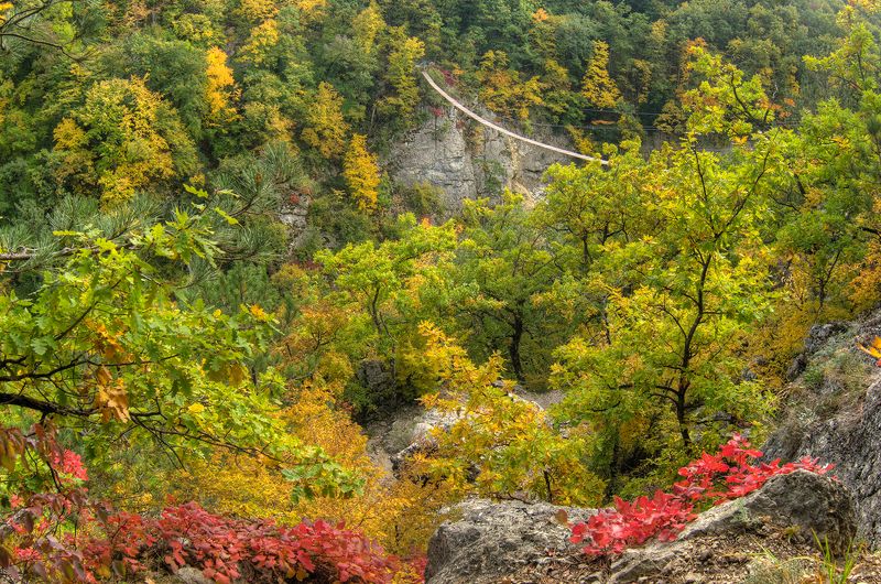 Осень в Крыму фото превью