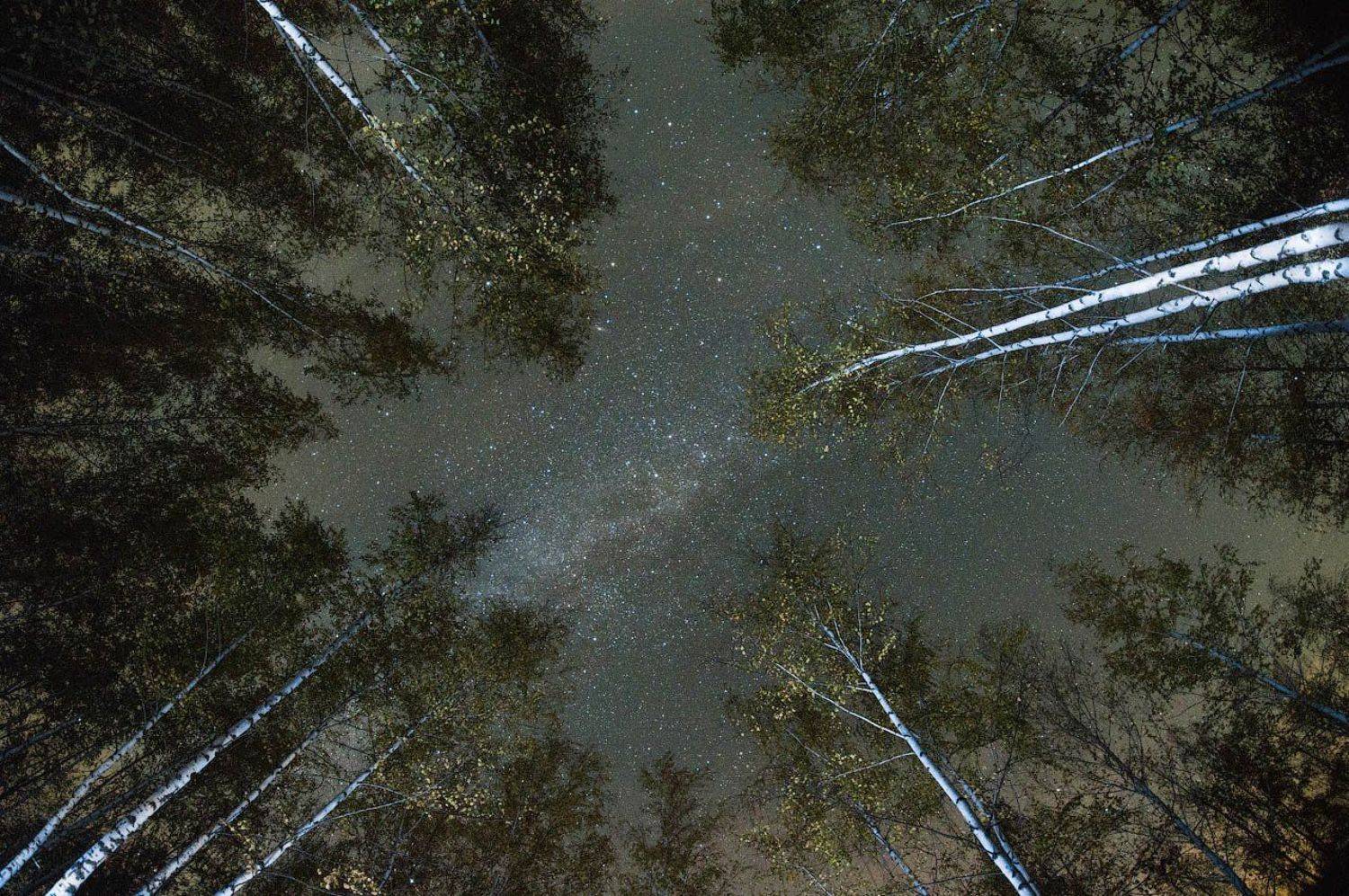 звезды, тула, тульская область, кондуки, астрофото, лес, террикон, выработка, гора, Королев Саша