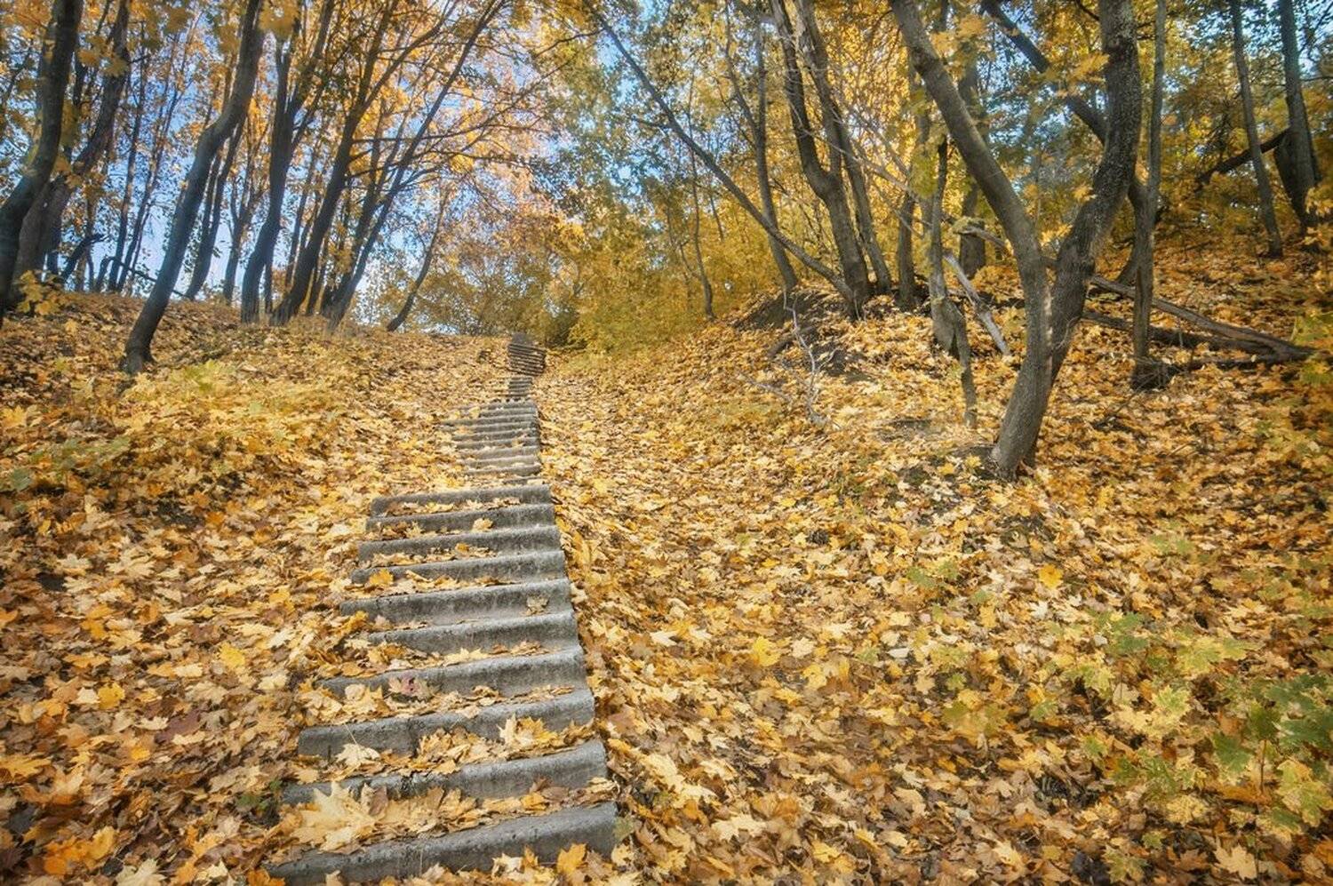 , Влад Степанов