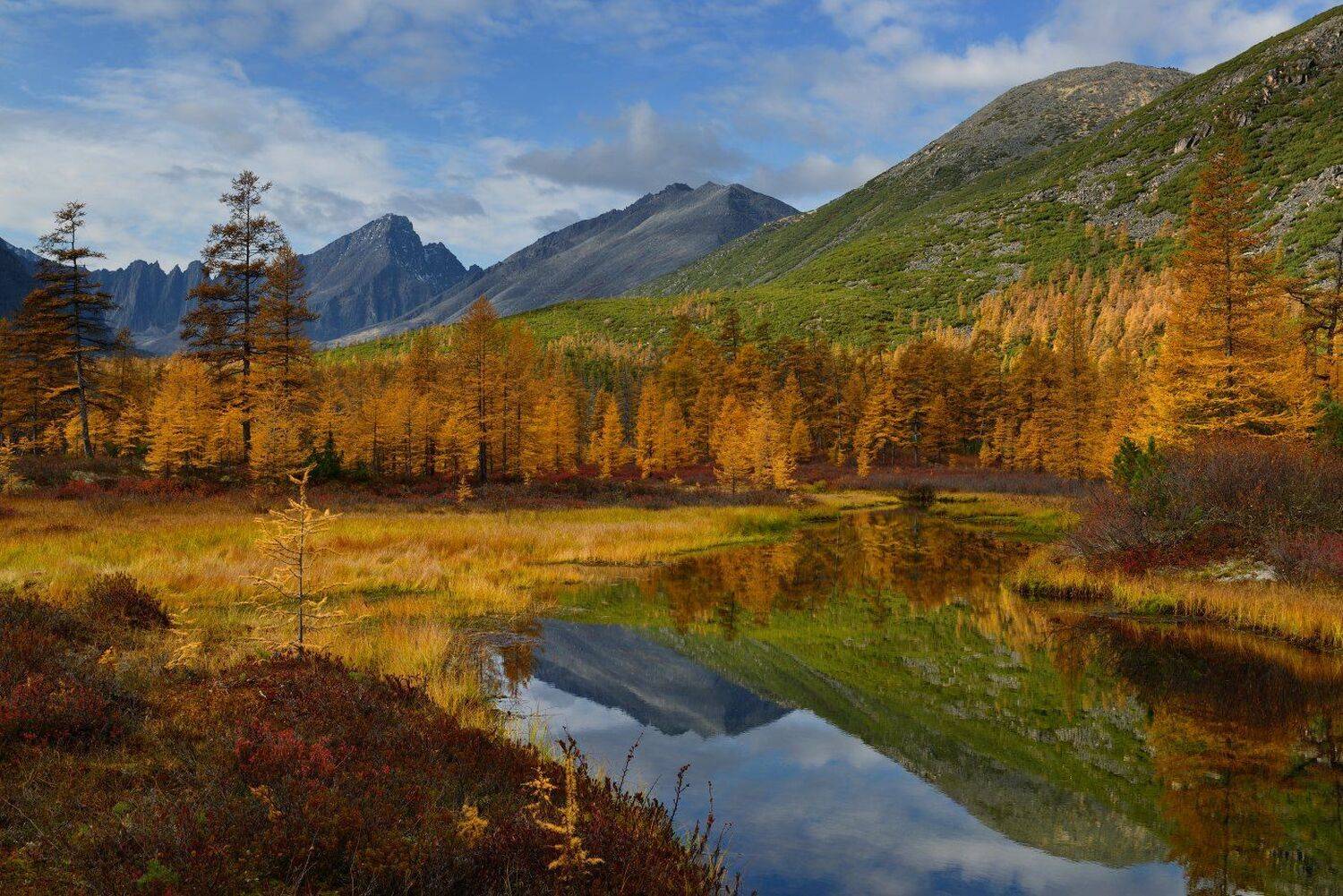 , Максим Евдокимов ( www.wildphotorus.ru )