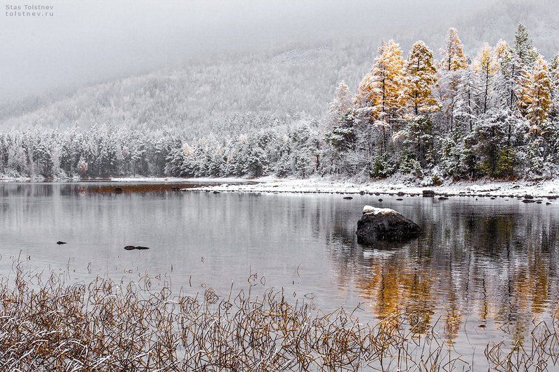 Белая осень фото превью